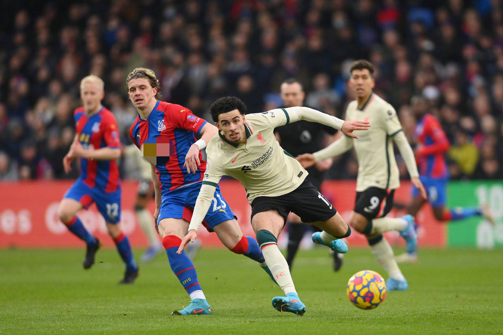 的非常好 的非常好